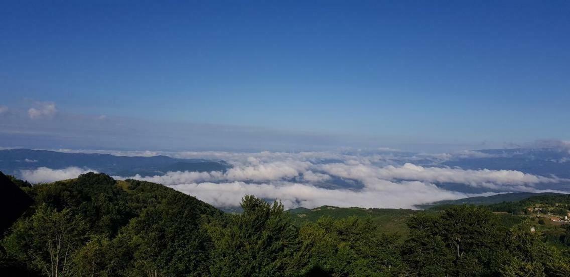 Goma Kop Apartmani โคเปานิก ภายนอก รูปภาพ